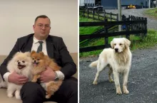 Rejestr psów i kotów coraz bliżej