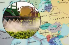 Rolnicy alarmują: podwójne standardy pestycydów w imporcie do UE