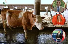 Interpelacja ws. rolnictwa