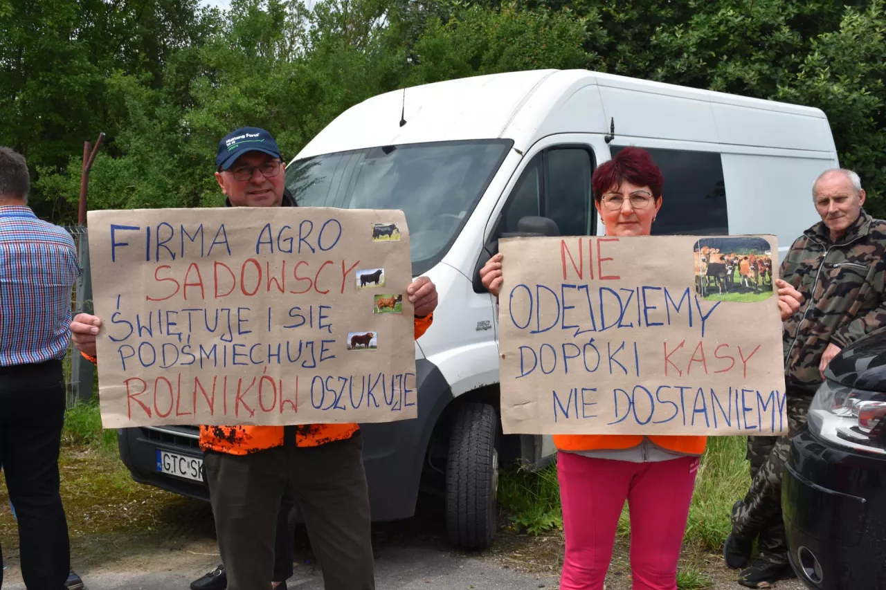 Sprzedał byki i nie dostał ani złotówki. Rolnik z Kujaw stracił 250 tys. zł (zdjęcie z protestu, nie przedstawia rolnika potrzebującego pomocy)
