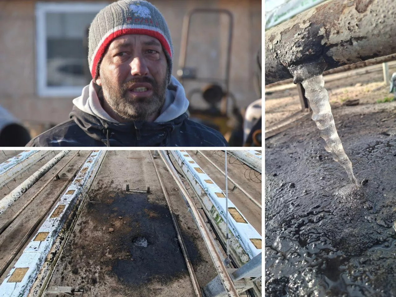 Rolnik przez mrozy stracił wszystko