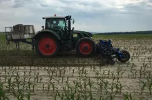 Mechaniczne odchwaszczanie kukurydzy