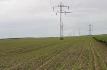 Masz słupy na polu? Rolnicy mają czas do 2 marca na odzyskanie pieniędzy