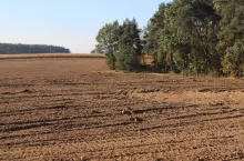 O tym, że rolnicy potrzebują regulacji dotyczących dzierżawy rolniczej wiadomo od dawna. Zaprojektowane regulacje nie wychodza jednak na przeciw ich oczekiwaniom