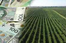 Środki te pozwolą na częściową spłatę kapitału przy zakupie użytków rolnych, co ma ułatwić start nowym gospodarstwom