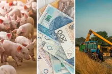 Raport rynkowy z połowy września