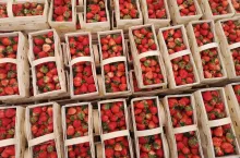 Owoce z dobrze odżywionych roślin