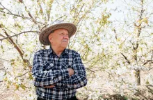 Zamyślony starszy rolnik w sadzie