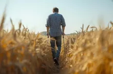 Ile wynosi odszkodowanie z KRUS za wypadek przy pracy w 2026 roku?