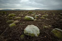 Ile wsparcia za hektar na usunięcie kamieni? Rolnicy mogą jeszcze zdążyć z wnioskiem