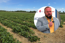 Adam Borzęcki z firmy Boryna w trakcie konferencji ”Praktycznie o truskawkach i nie tylko” dzielił się swoimi opiniami o przyszłości branży jagodowej