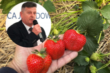 Dr hab. Zbigniew Jarosz, Doradca Jagodowy