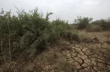 Jak przywrócić nieużytkowany grunt do produkcji?