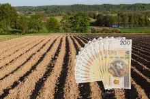 ceny gruntów ornych w Polsce