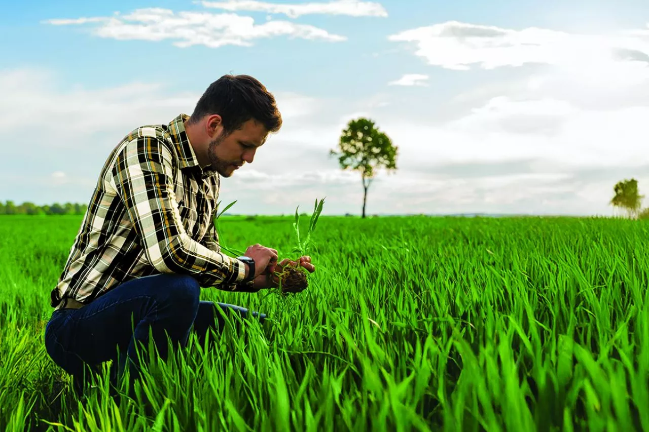 Wiosna 2026: Zabezpiecz potencjał plonowania!