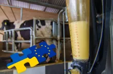 Integracja ukraińskiego rynku mleka z polskim