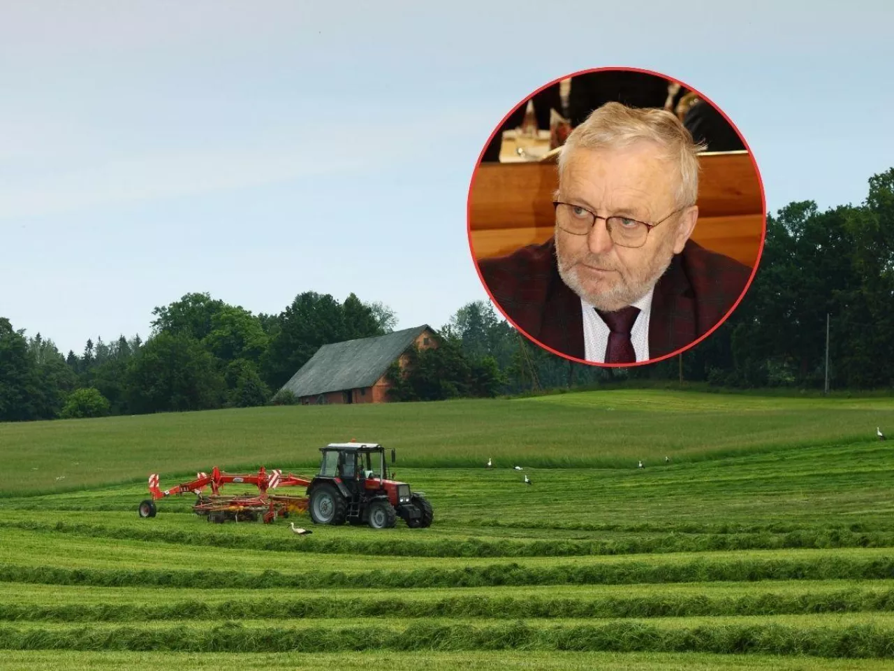 Strategia ochrony obszarów wodno-błotnych