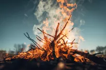 Czy można spalać gałęzie na działce? Przepisy i mandaty dla rolników