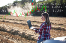 Młoda kobieta analizuje dane rynku rolnego na laptopie na polu po zbiorach, nad zdjęciem widoczne wykresy i notowania cen.