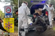 ASF pod Barceloną