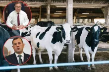 Kryzys na rynku mleka