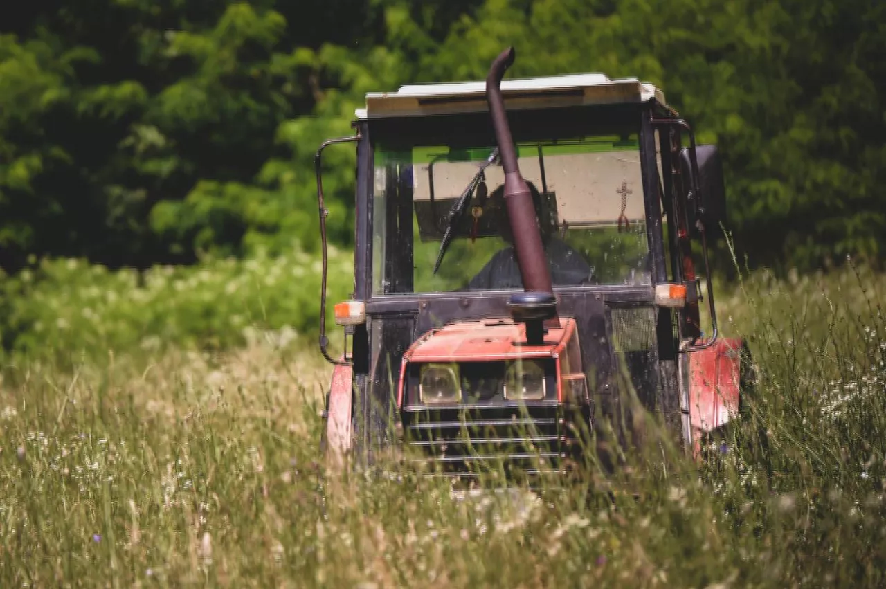Stary traktor sfotografowany podczas postoju na łące lub polu, w otoczeniu wysokiej trawy. Zdjęcie przedstawia autentyczną scenę z polskiej wsi, z charakterystycznym dla lata bujnym otoczeniem roślinnym.