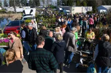 Wiosenne Targi Rolno-Ogrodnicze AGROMARSZ 2025 r.