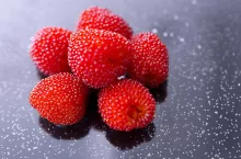 Rubus illecebrosus, Japanese raspberry