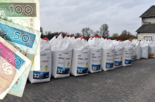 Saletra tańsza nawet o 60 zł. Jakie są aktualne ceny nawozów w Polsce?