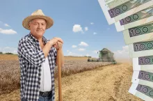rolnik oparty o grabie stoi na polu, po lewej banknoty polskie stuzłotowe