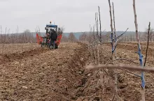 zdjęcie poglądowe
