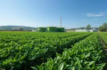 Czy biogazownie rolnicze będą zwolnione z podatku? Jest stanowisko resortu finansów