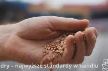 Kadr z filmu zamieszczonego na stronie internetowej spółki Mondry