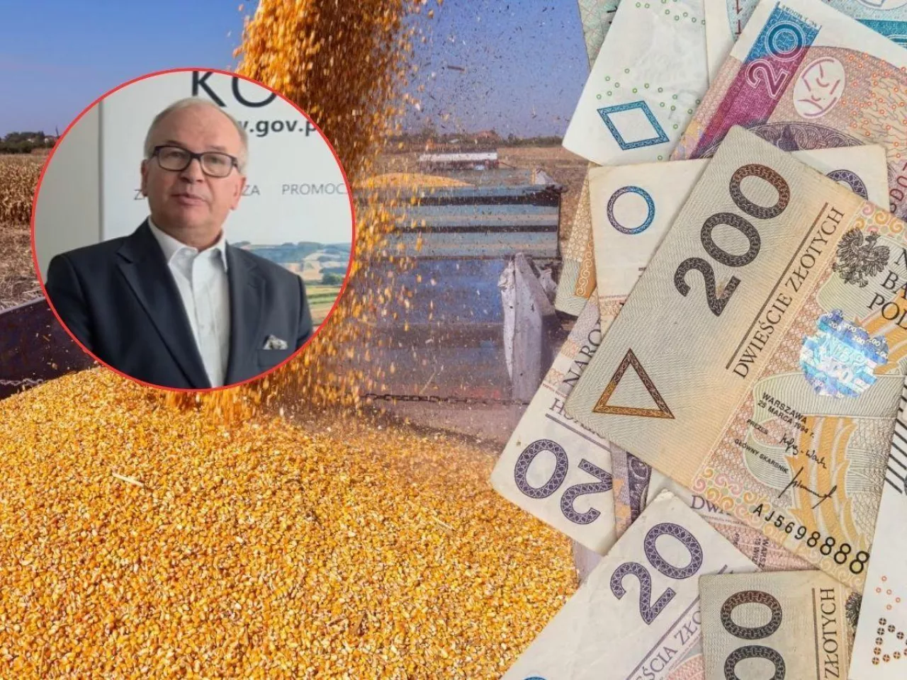 Nie zapłacili za zboże? KOWR przypomina: złóż wniosek do 31 marca