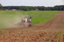 siew rzepaku z nawożeniem DAP