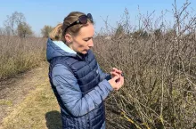 Dr inż. Diana Wieczorek, ICL