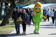 Wiosenne Targi Rolno-Ogrodnice AGROMARSZ w Marszewie, 2025 rok