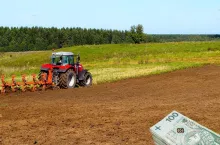 KOWR wydzierżawi niemal 135 ha w Wielkopolsce. Jaki czynsz?