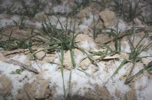 Fot. M. S. Brodowska