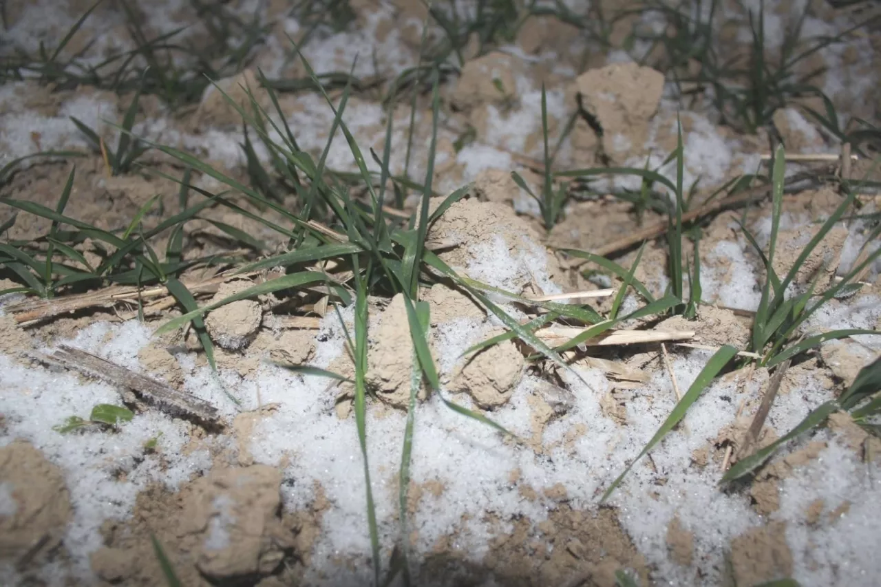 Fot. M. S. Brodowska