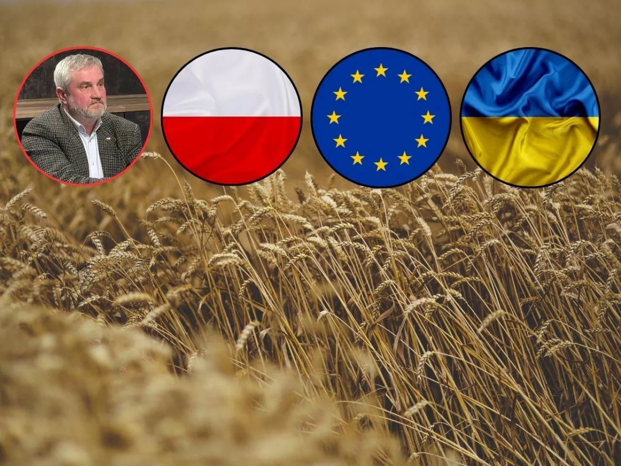 ”To nie krasnoludki”. Ardanowski ujawnia, kto sprowadzał zboże