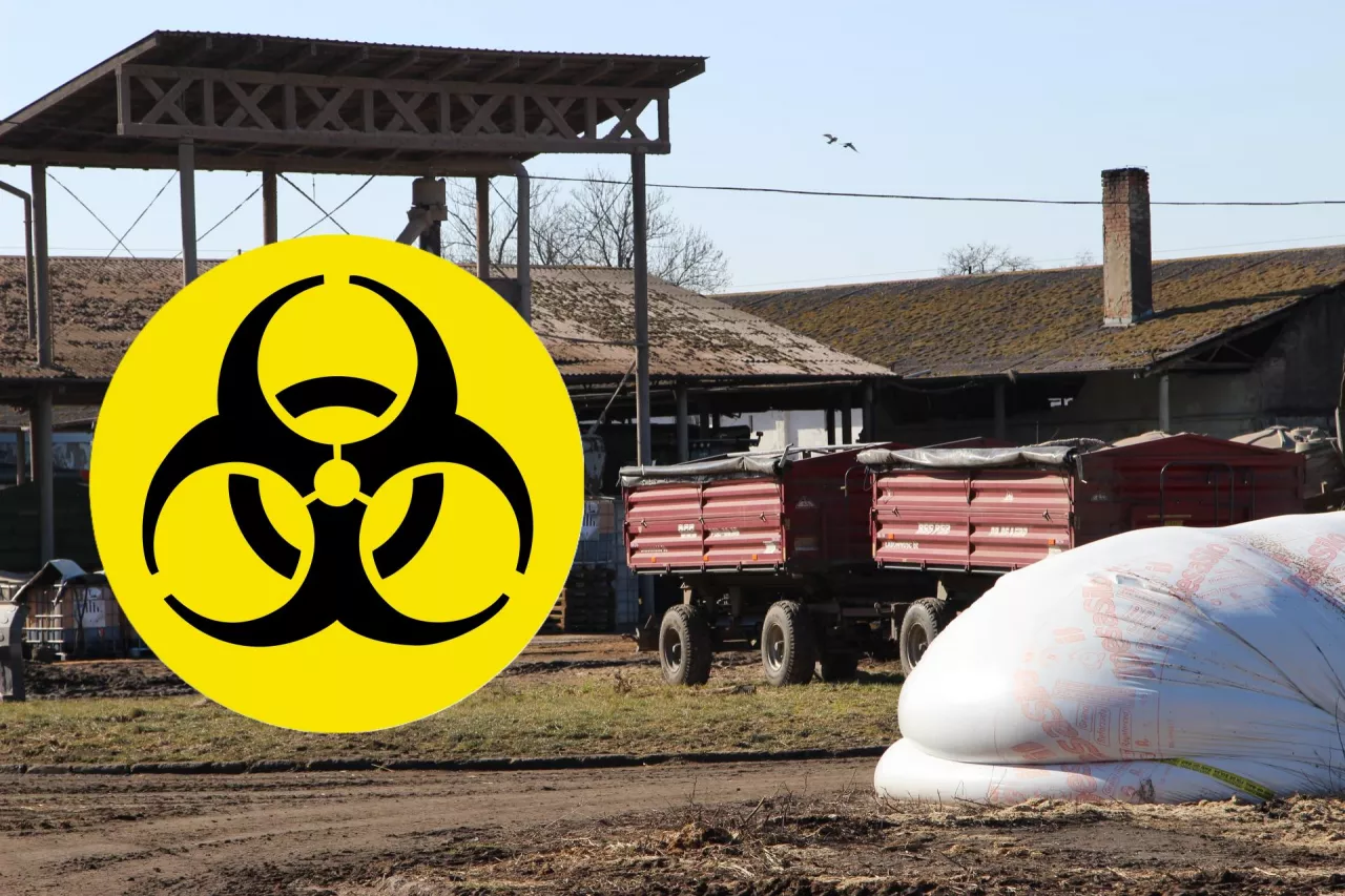 W ostatnich latach nie odnotowano w Polsce przypadków bioterroryzmu, jednak trzeba zachować czujność