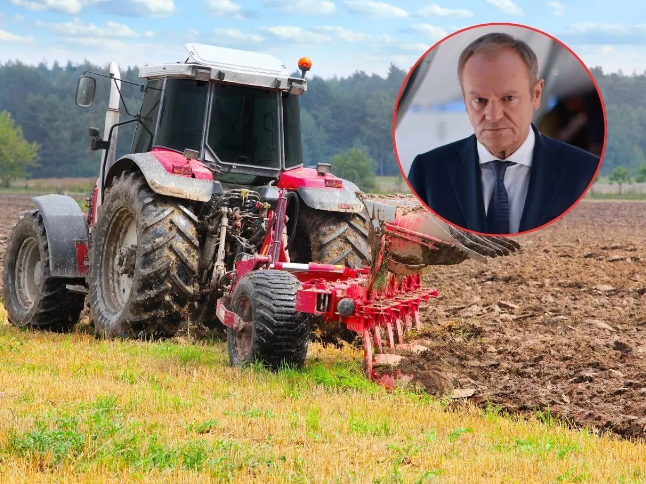 Nawet 1,20 zł mniej za paliwo. Tusk ogłosił program „CPN”