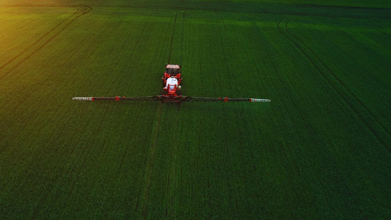 Oprysk na chwasty w pszenicy ozimej wiosną — jaki herbicyd wybrać?