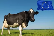 Masło w górę o 25%, ale nie wszystko rośnie. Eksport mleka z UE zaskakuje