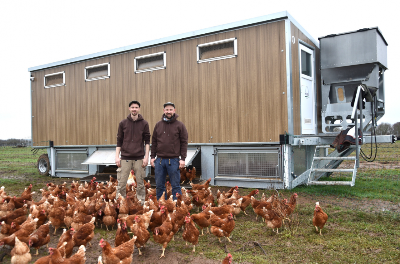 Mobilna stodoła Fabiana i Michaela Grünewaldów stoi na terenie dawnej winnicy
