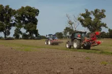 599006