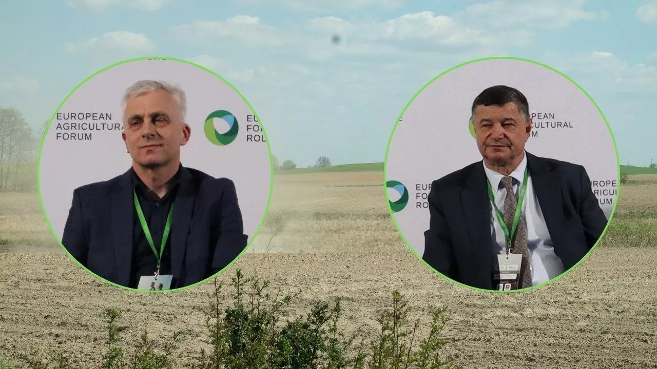 Na glebach piaszczystych, które mają głównie makropory, woda szybko odpływa, dlatego jedynym rozwiązaniem jest zwiększanie zawartości próchnicy - przekonują eksperci.