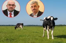 Mleko po 99 groszy. Rolnicy załamani: dokładamy do każdego litra