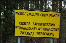 Tablica koło drogi informująca o obszarze zapowietrzonym w związku w występowaniem wysoce zjadliwej grypy ptaków